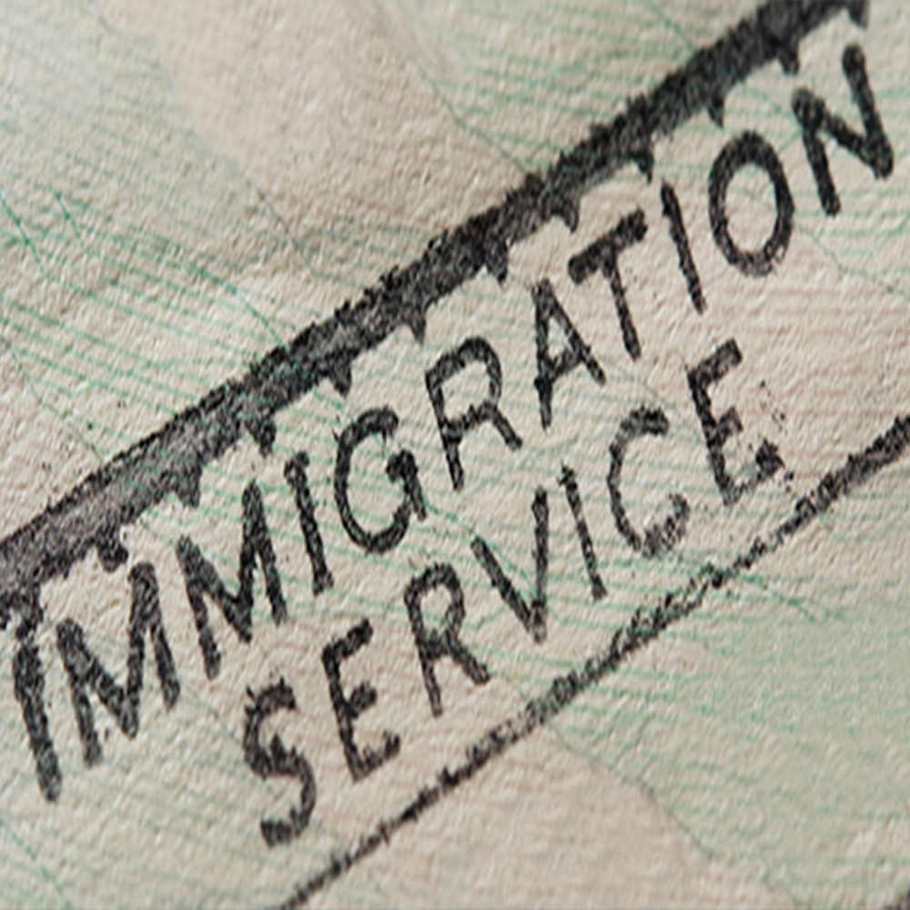 Name For Immigration Services